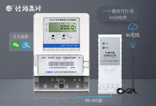 社为DDS1980 | 1级