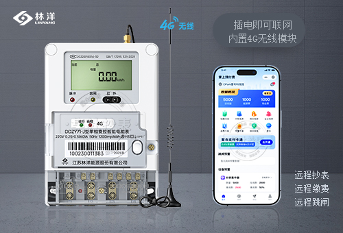 江苏林洋DDZY71-J|1级